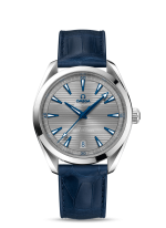 Seamaster Aqua Terra 150m Grey 41mm