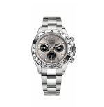 Rolex Cosmograph Daytona White Gold Men's Watch 116509