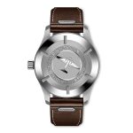 IWC-Pilot's Watch Mark XX (IW328205) - Image 2