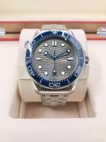 Seamaster Diver 300m Blue / Grey 42mm - Image 4