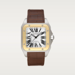 SANTOS 100 WATCH 38mm