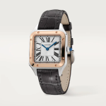 SANTOS-DUMONT Rose Gold MIx 43.5mm - Image 5
