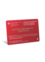 Speedmaster MoonPhase 44.25 mm platinum leather strap - Image 2